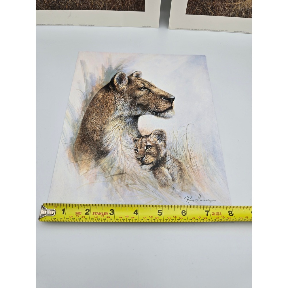 Ruane Manning Wildlife Art Prints Lion Tiger‎ Set Litho USA - Picture 10 of 11